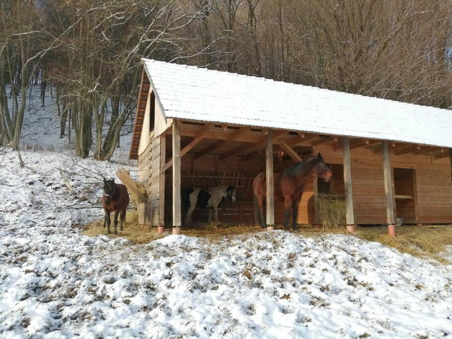 Oddychovy Pobyt Na Rodinnej Farme Matiaska Exteriér fotografie
