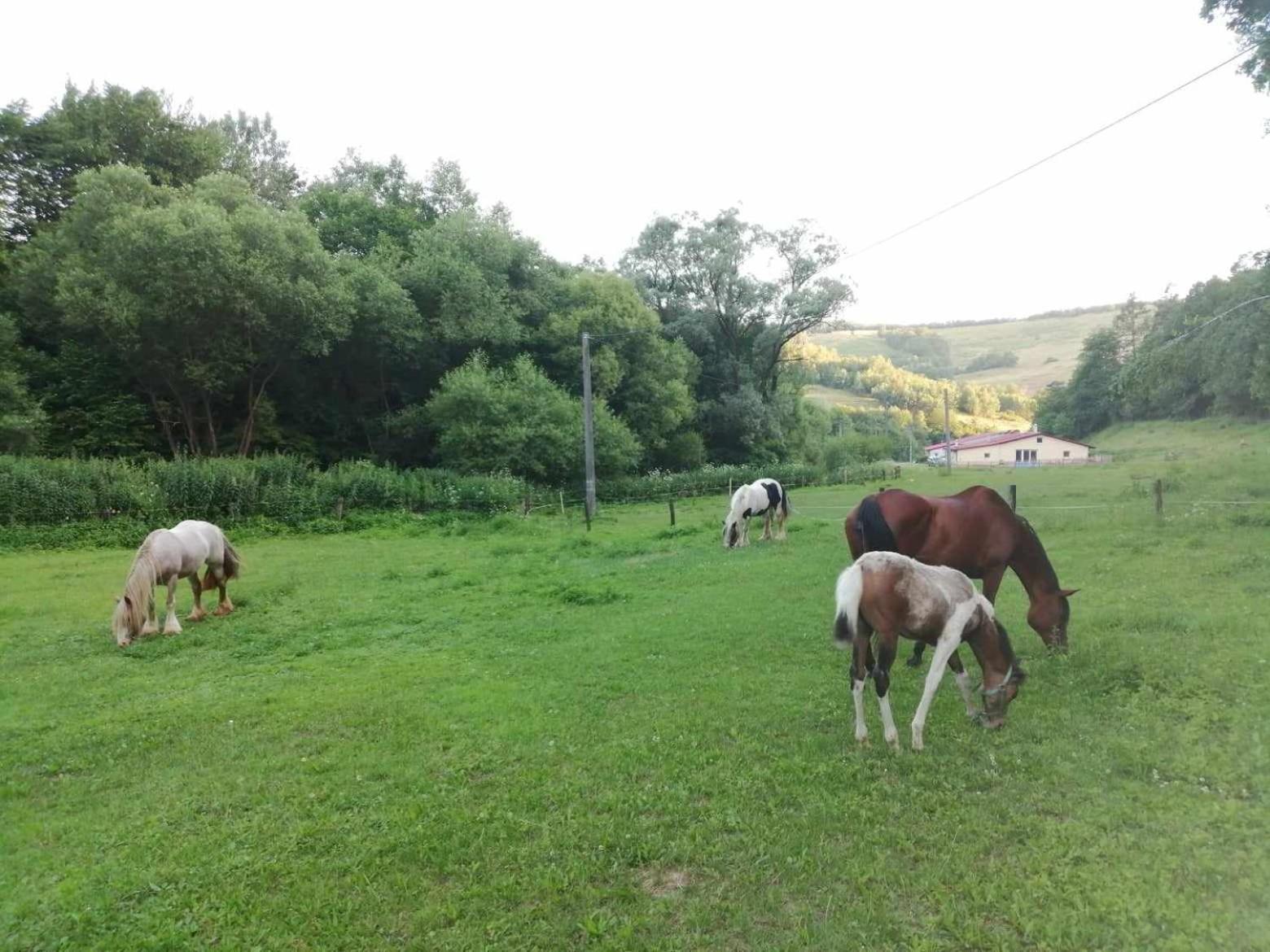 Oddychovy Pobyt Na Rodinnej Farme Matiaska Exteriér fotografie