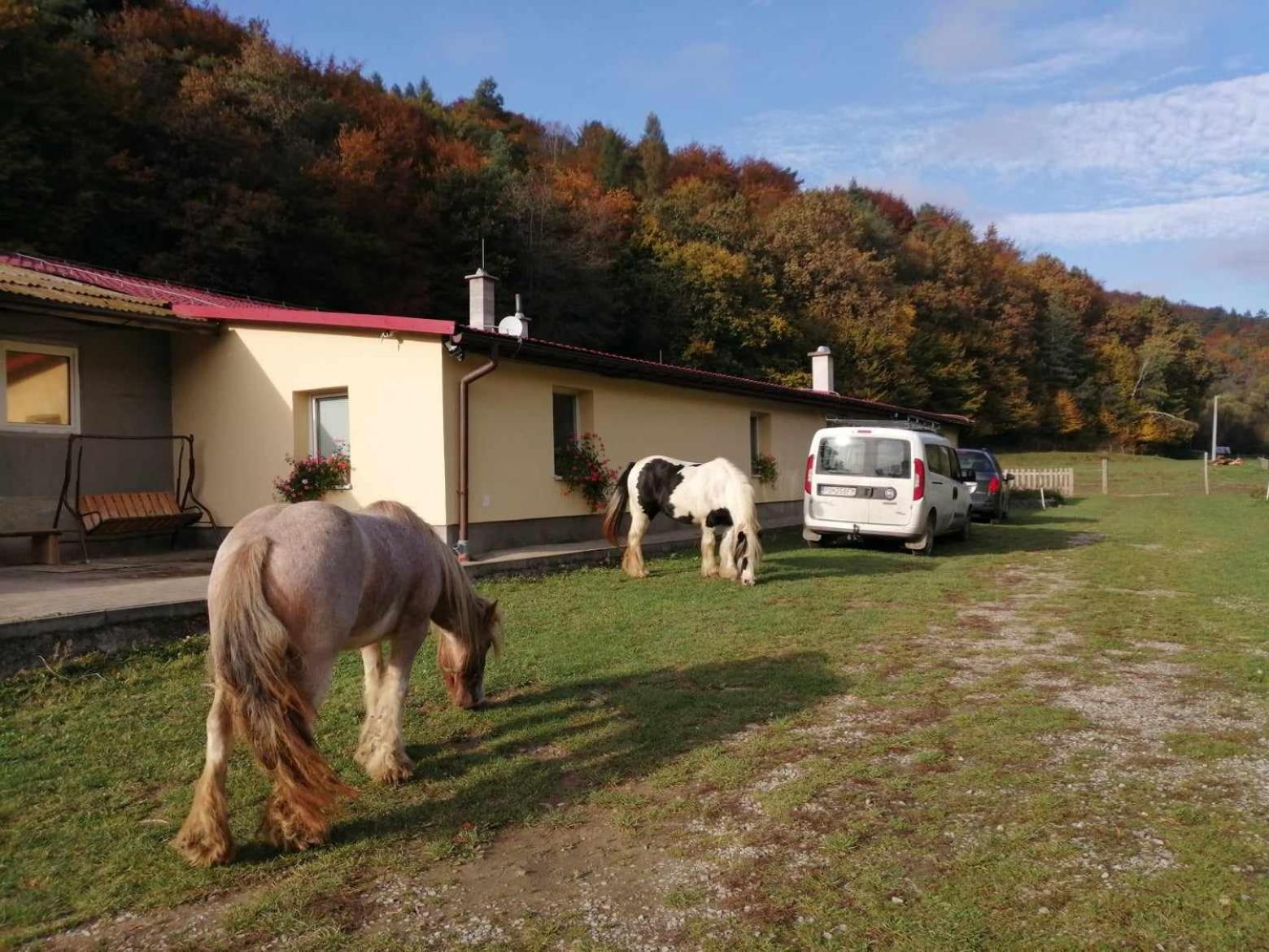 Oddychovy Pobyt Na Rodinnej Farme Matiaska Exteriér fotografie