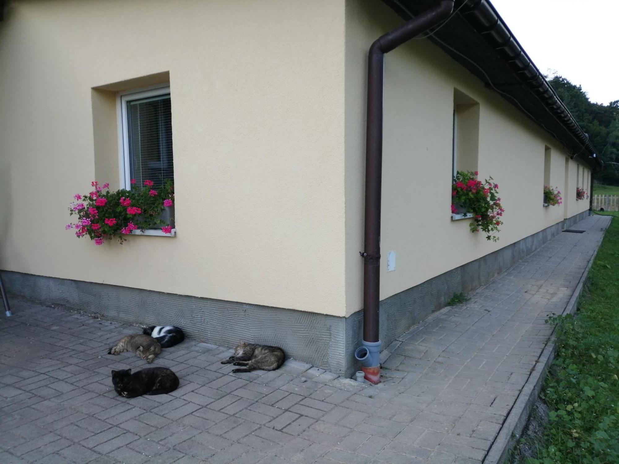 Oddychovy Pobyt Na Rodinnej Farme Matiaska Exteriér fotografie